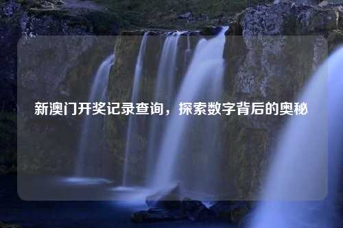 新澳门开奖记录查询，探索数字背后的奥秘