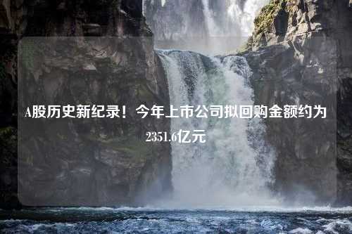 A股历史新纪录！今年上市公司拟回购金额约为2351.6亿元