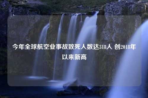 今年全球航空业事故致死人数达318人 创2018年以来新高