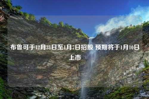 布鲁可于12月31日至1月7日招股 预期将于1月10日上市