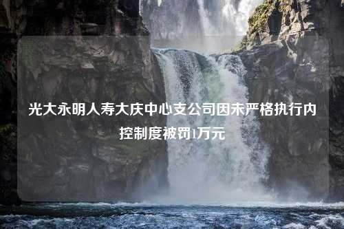 光大永明人寿大庆中心支公司因未严格执行内控制度被罚1万元