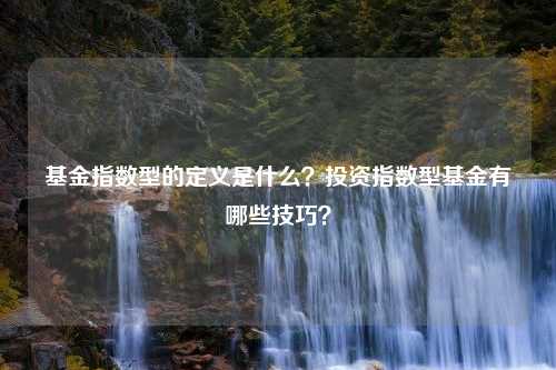 基金指数型的定义是什么？投资指数型基金有哪些技巧？